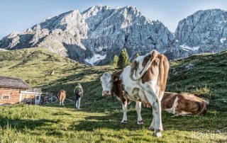 Weg der Chaoten Großer Bratschenkopf Hochkönig-Massiv